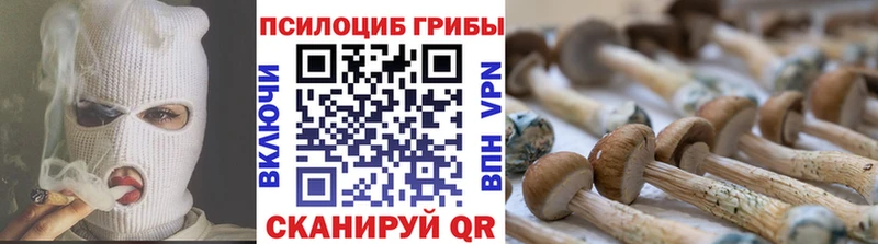Галлюциногенные грибы GOLDEN TEACHER  где продают   кракен tor  Малаховка 